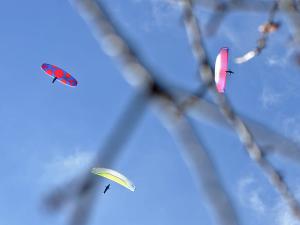 Bassano 1 - říjen 2025